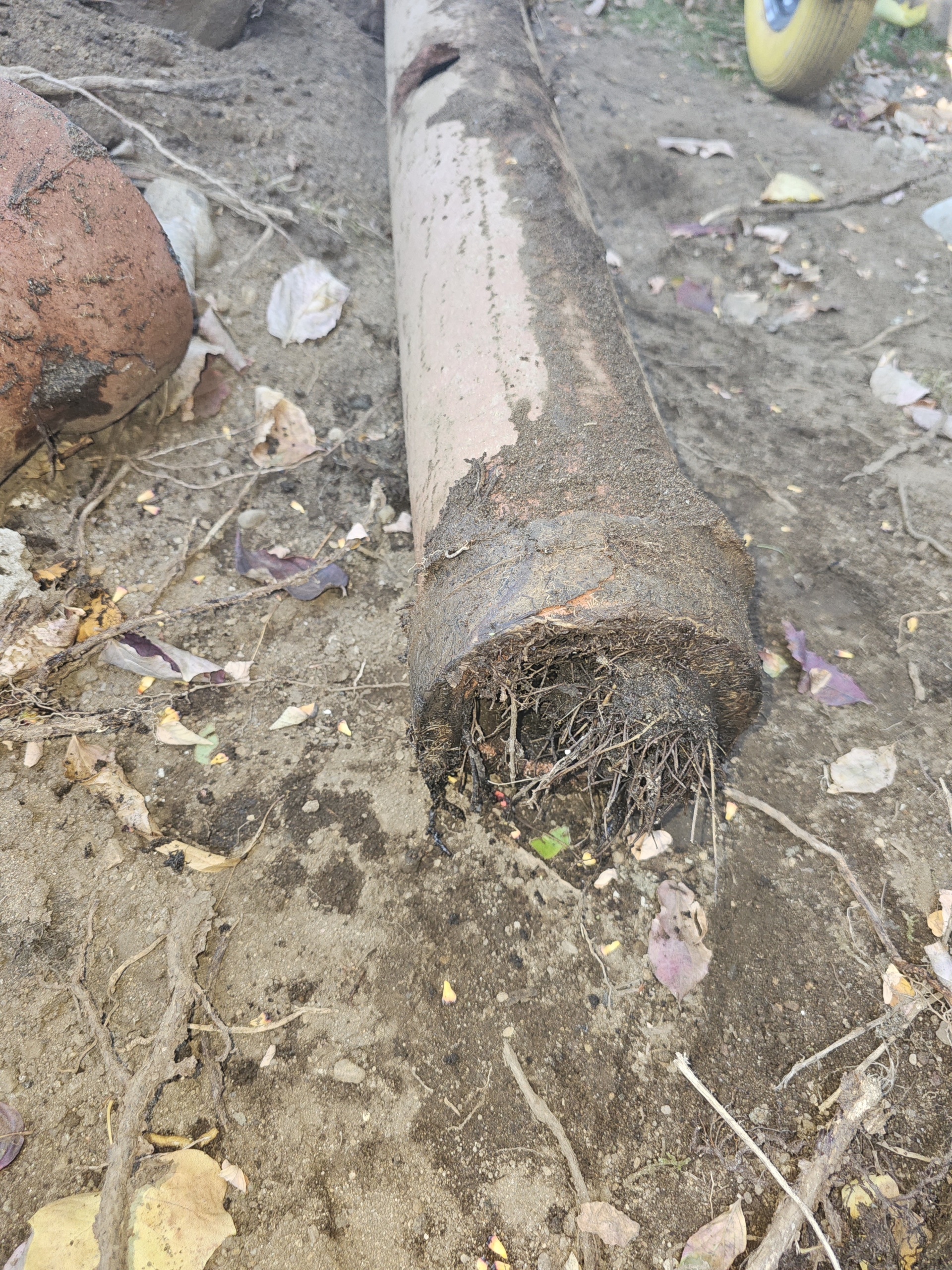 Drain Tile System Replace