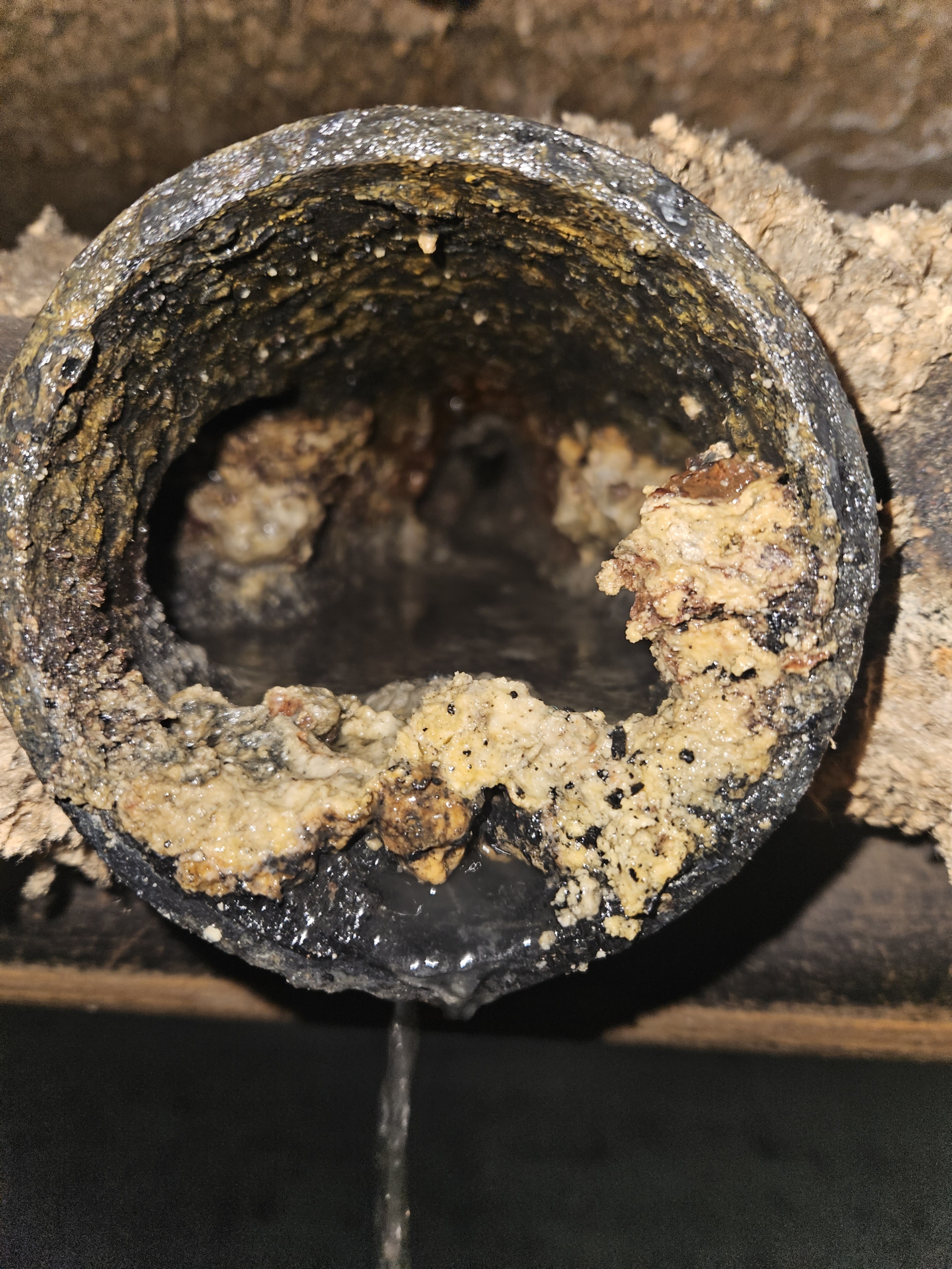 Drain Cleaning Before