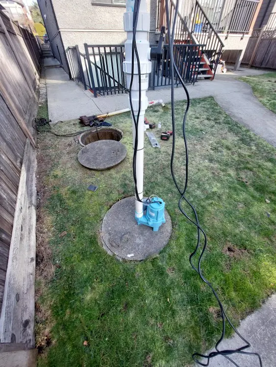 Backyard cleanout covers and a vertical drain riser on a lawn