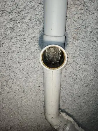 Preventing-Frozen-Pipes-Your-Ultimate-Winter-Guide-scaled Preventing-Frozen-Pipes-Your-Ultimate-Winter-Guide-scaled