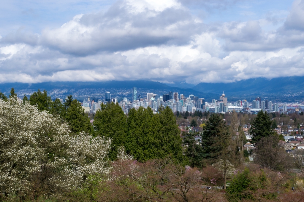 Tree covered slope of Little Mountain with houses and mature boulevard trees below the downtown Vancouver skyline, seen from Queen Elizabeth Park in Riley Park-Little Mountain, Vancouver